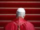 Pope Leo’s over 400 appeals for peace during first year of pontificate