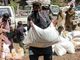 Holy See: Wars and extreme climate events have lethal impact on food systems