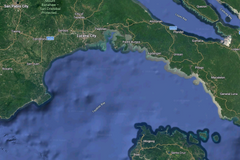 Quezon fish kill sparks calls to probe coal plants, industrial pollution in Tayabas Bay