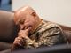 Philippine authorities move to arrest Sen. Bato Dela Rosa after Supreme Court ruling