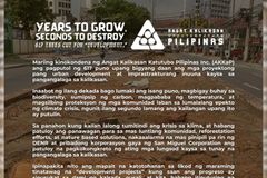 Pagputol ng mga puno sa Quirino Avenue, kinundena ng AKKaP - VeritasPH