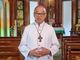 Prelate decries mass tree cutting in Manila for expressway project