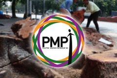 Malawakang pagputol ng punongkahoy sa Quirino avenue, kinondena ng PMPI - VeritasPH