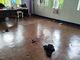 Catholic educators, Church leaders warn of deeper social crisis after deadly Philippine school shooting