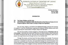 Diocese of Laoag, nanindigan laban sa offshore wind projects sa Ilocos Norte - VeritasPH