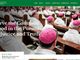 CBCP unveils new website