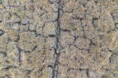Climate scientists call for more accurate reporting on extreme weather