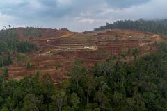 Advocate warns mining push is driving environmental loss, repression