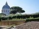 The Pope’s garden in the Vatican Gardens becomes 100% organic