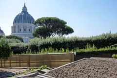 The Pope’s garden in the Vatican Gardens becomes 100% organic