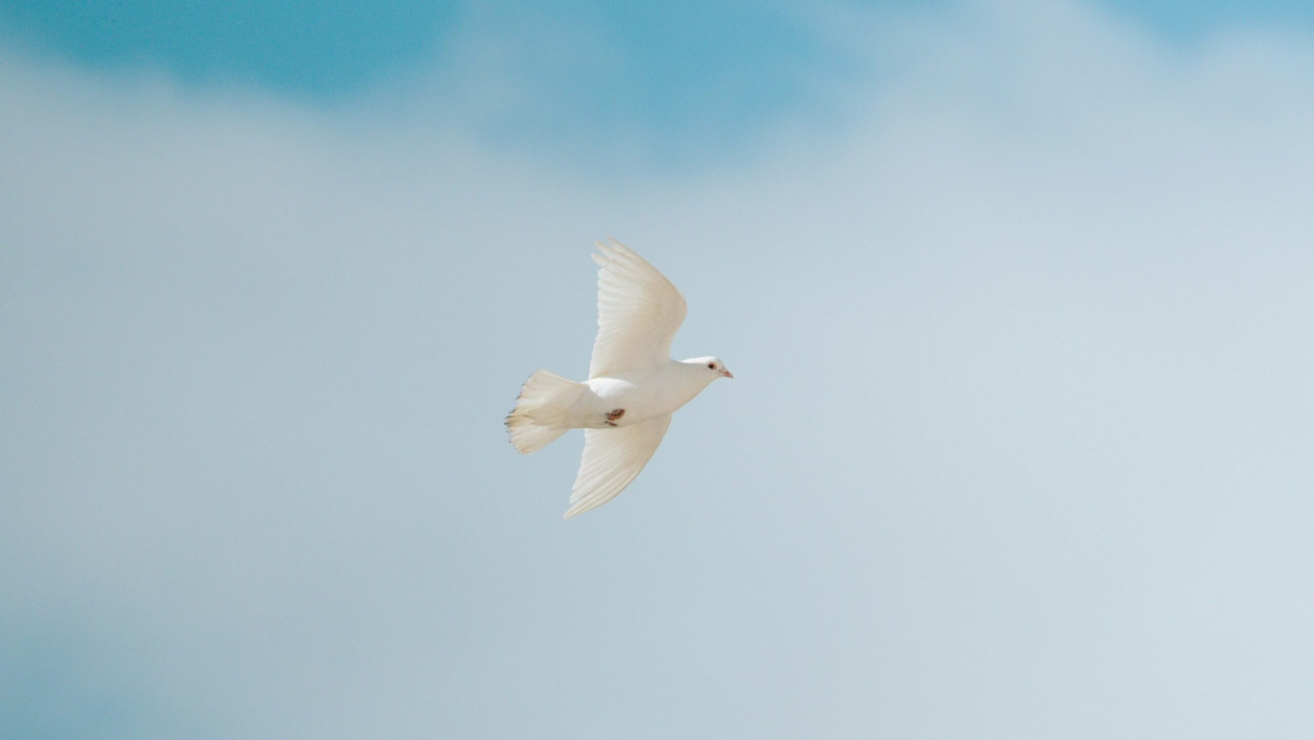 What Does the Holy Spirit Do for Us?