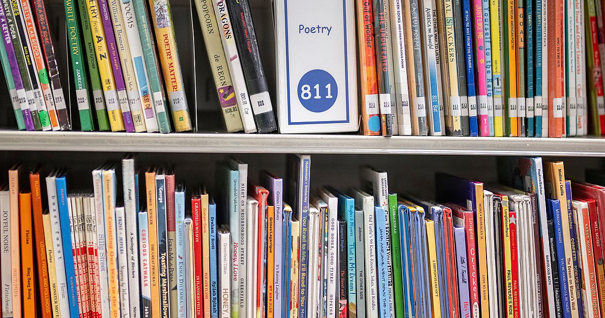 U.S. Reading Scores Plummeted over Three Years, Study Finds